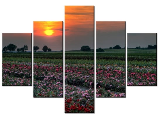 Obraz Zachód słońca nad polem kwiatów, 5 elementów, 100x70 cm Oobrazy