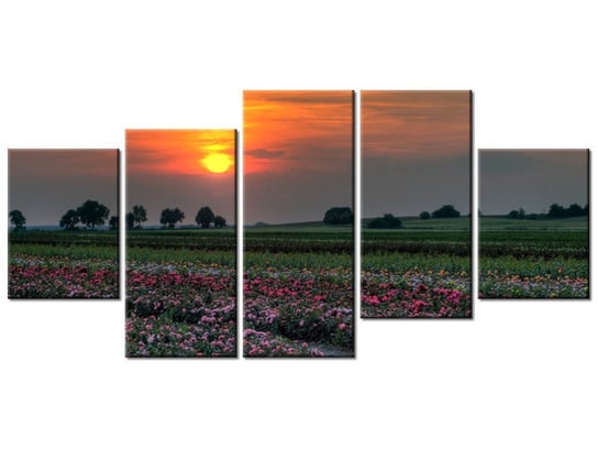 Obraz Zachód słońca nad polem kwiatów, 5 elementów, 150x70 cm Oobrazy