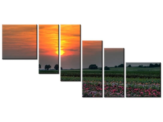 Obraz Zachód słońca nad polem kwiatów, 6 elementów, 220x100 cm Oobrazy