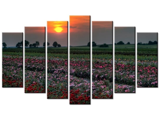 Obraz Zachód słońca nad polem kwiatów, 7 elementów, 140x80 cm Oobrazy