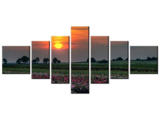Obraz Zachód słońca nad polem kwiatów, 7 elementów, 160x70 cm Oobrazy