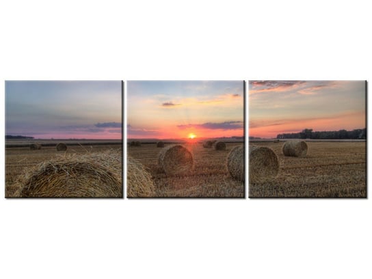 Obraz Zachód słońca nad ścierniskiem, 3 elementy, 90x30 cm Oobrazy