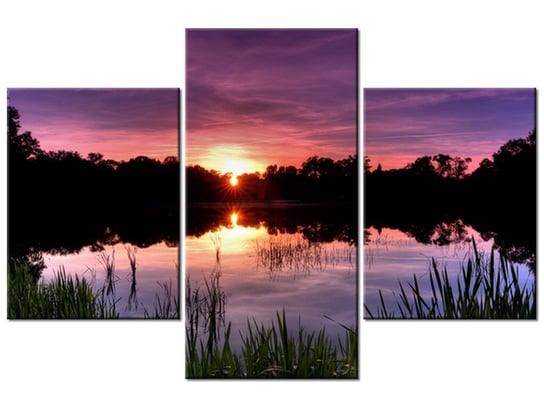 Obraz Zachód słońca wśród trzcin, 3 elementy, 90x60 cm Oobrazy