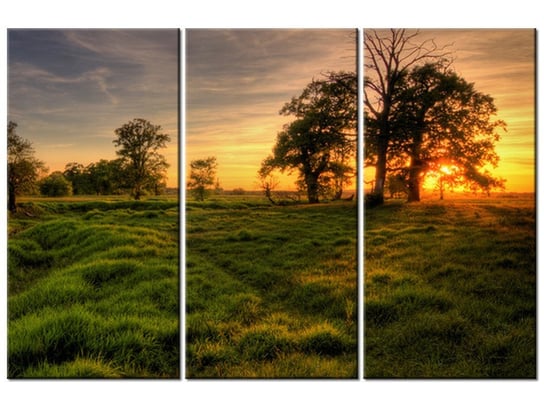 Obraz Zachodzące słońce wśród drzew, 3 elementy, 90x60 cm Oobrazy