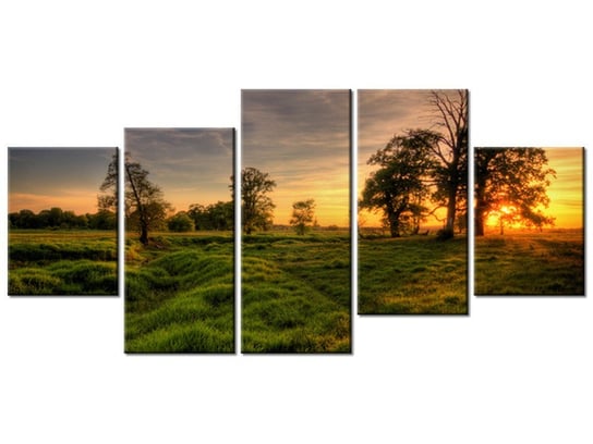 Obraz Zachodzące słońce wśród drzew, 5 elementów, 150x70 cm Oobrazy