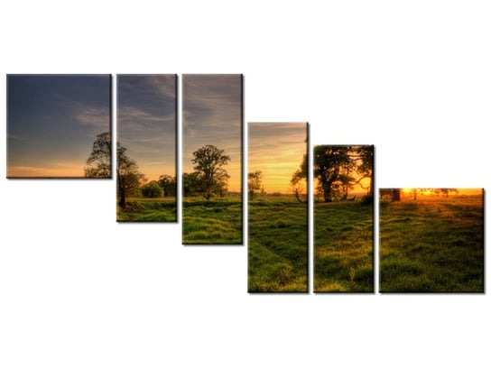 Obraz, Zachodzące słońce wśród drzew, 6 elementów, 220x100 cm Oobrazy