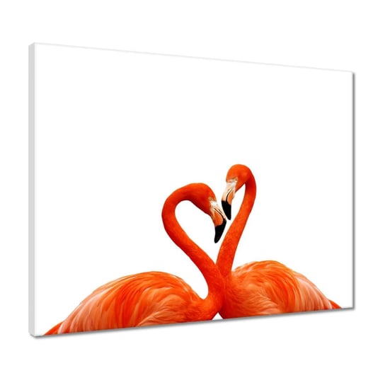 Obraz Zakochane flamingi, 50x40cm ZeSmakiem