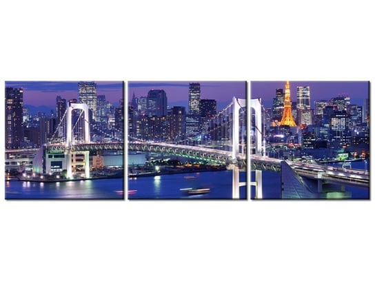 Obraz Zatoka Tokijska, 3 elementy, 120x40 cm Oobrazy