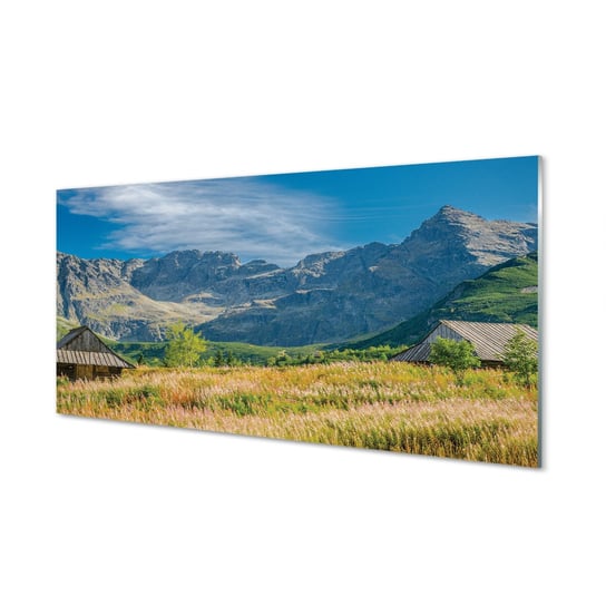 Obraz zdjęcie na szkle TULUP Góry pola domki, 100x50 cm cm Tulup