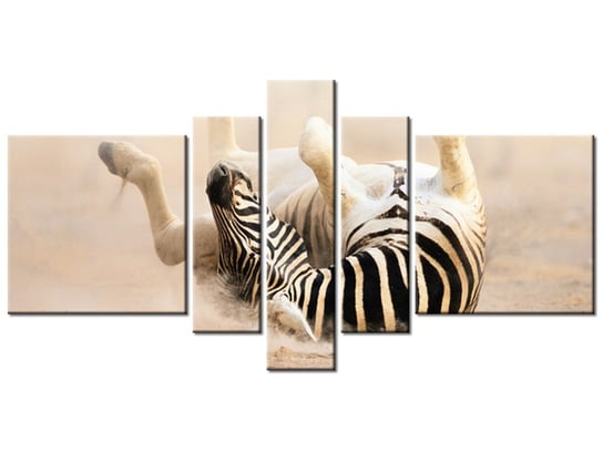 Obraz Zebra, 5 elementów, 160x80 cm Oobrazy