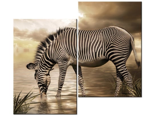 Obraz Zebra przy wodopoju, 2 elementy, 80x70 cm Oobrazy