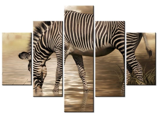 Obraz Zebra przy wodopoju, 5 elementów, 100x70 cm Oobrazy
