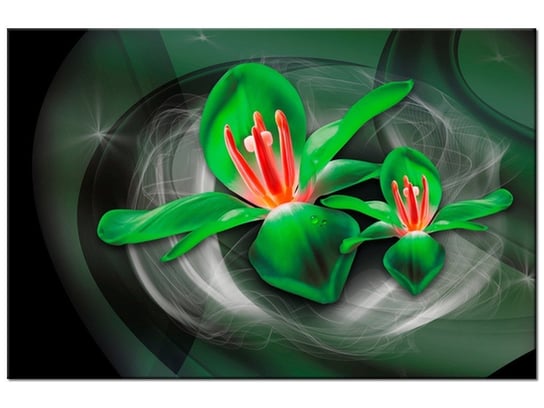 Obraz Zielone kosmiczne kwiaty - Jakub Banaś, 90x60 cm Oobrazy