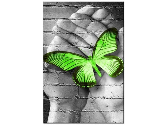 Obraz Zielony motyl w dłoniach, 20x30 cm Oobrazy