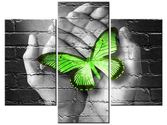 Obraz Zielony motyl w dłoniach, 3 elementy, 90x70 cm Oobrazy