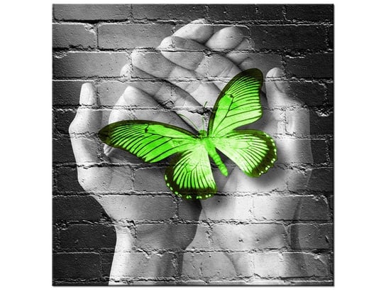 Obraz Zielony motyl w dłoniach, 40x40 cm Oobrazy