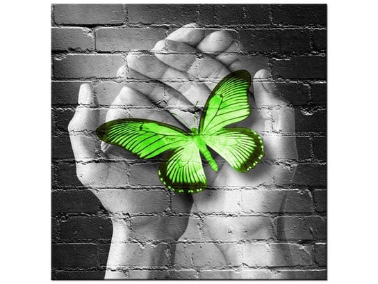 Obraz Zielony motyl w dłoniach, 50x50 cm Oobrazy