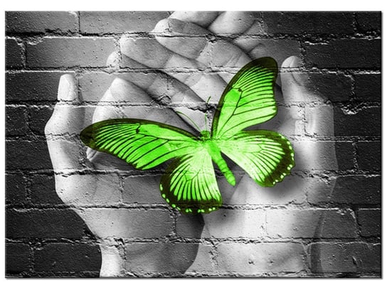 Obraz, Zielony motyl w dłoniach, 70x50 cm Oobrazy
