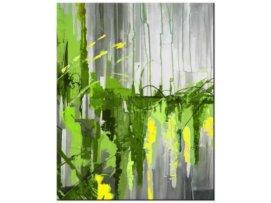 Obraz Zielony wodospad, 40x50 cm Oobrazy