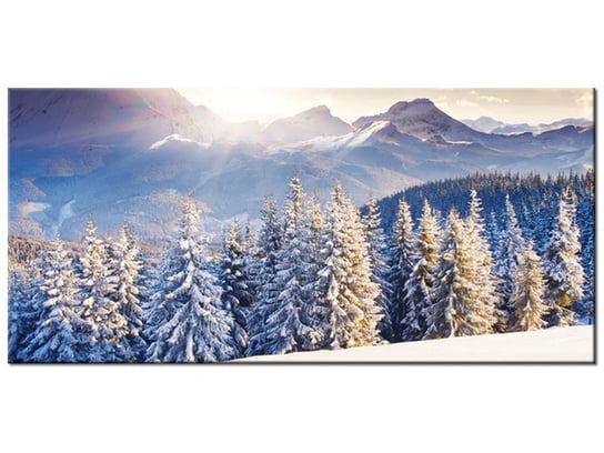 Obraz Zima w górach, 115x55 cm Oobrazy