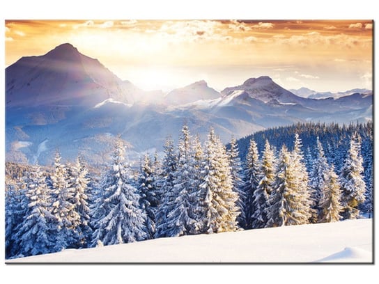 Obraz Zima w górach, 120x80 cm Oobrazy