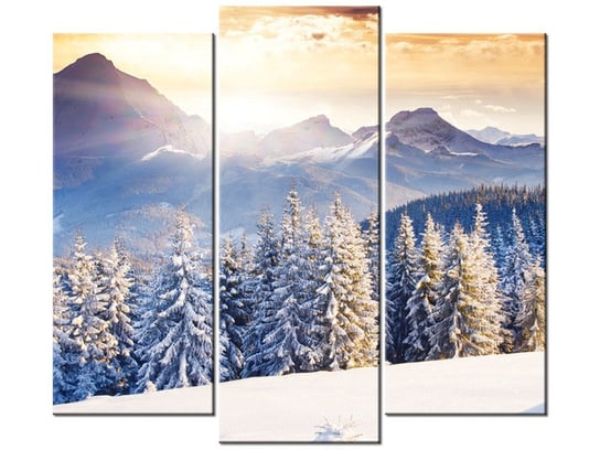 Obraz Zima w górach, 3 elementy, 90x80 cm Oobrazy