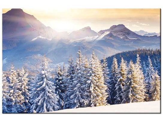 Obraz Zima w górach, 30x20 cm Oobrazy