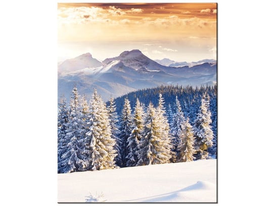 Obraz Zima w górach, 60x75 cm Oobrazy
