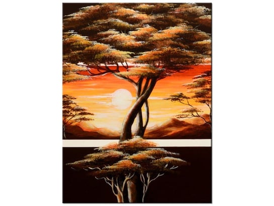Obraz Złoto Afryki, 30x40 cm Oobrazy