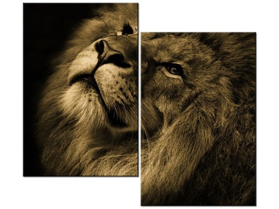 Obraz Złoty lew, 2 elementy, 80x70 cm Oobrazy