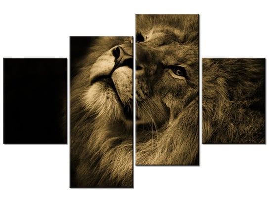 Obraz Złoty lew, 4 elementy, 120x80 cm Oobrazy