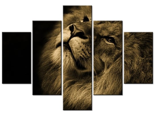 Obraz Złoty lew, 5 elementów, 100x70 cm Oobrazy
