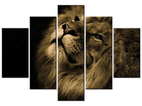 Obraz, Złoty lew, 5 elementów, 150x105 cm Oobrazy