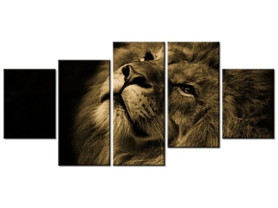 Obraz Złoty lew, 5 elementów, 150x70 cm Oobrazy