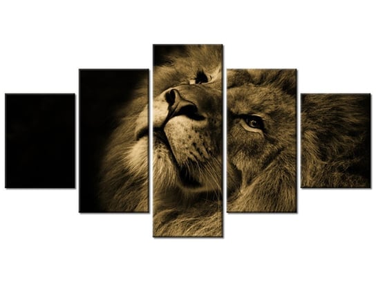 Obraz, Złoty lew, 5 elementów, 150x80 cm Oobrazy
