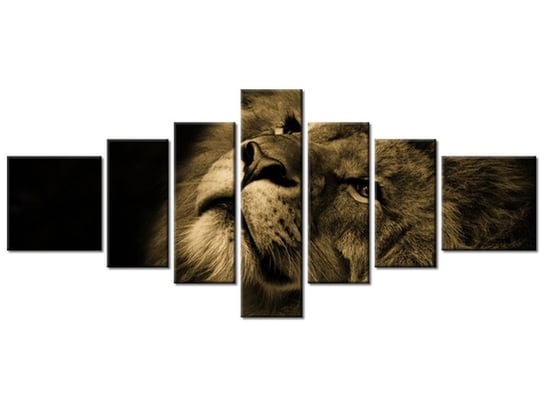 Obraz Złoty lew, 7 elementów, 160x70 cm Oobrazy