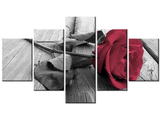 Obraz Zniewalająca róża, 5 elementów, 125x70 cm Oobrazy