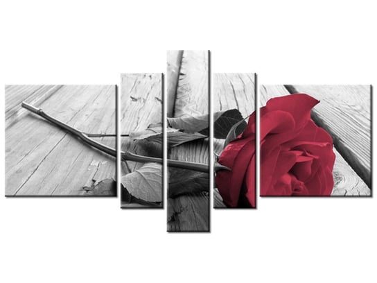 Obraz Zniewalająca róża, 5 elementów, 160x80 cm Oobrazy