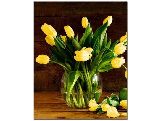 Obraz Żółte tulipany, 60x75 cm Oobrazy