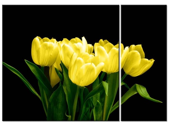 Obraz Żółte tulipany- Mark Freeth, 2 elementy, 70x50 cm Oobrazy