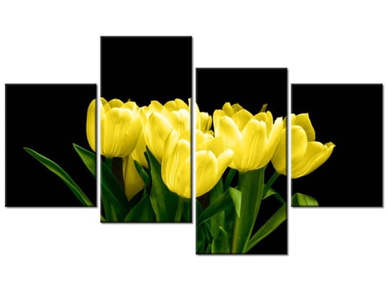 Obraz Żółte tulipany- Mark Freeth, 4 elementy, 120x70 cm Oobrazy