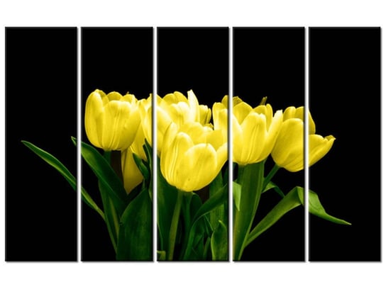 Obraz Żółte tulipany - Mark Freeth, 5 elementów, 100x63 cm Oobrazy