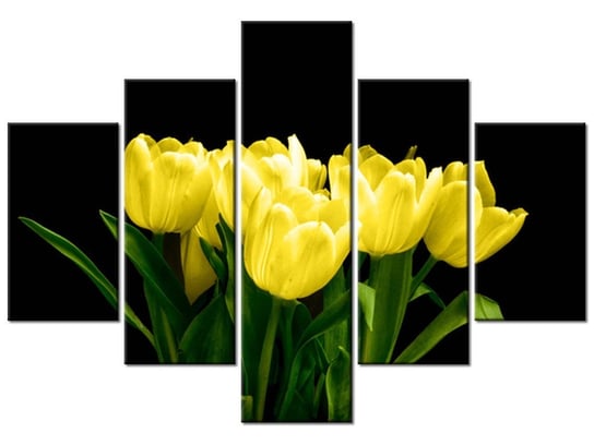 Obraz Żółte tulipany - Mark Freeth, 5 elementów, 100x70 cm Oobrazy