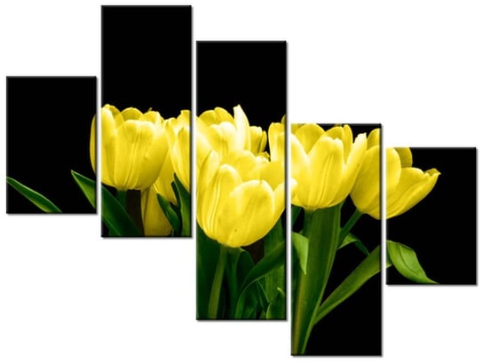 Obraz Żółte tulipany - Mark Freeth, 5 elementów, 100x75 cm Oobrazy