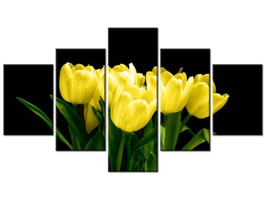 Obraz Żółte tulipany - Mark Freeth, 5 elementów, 125x70 cm Oobrazy