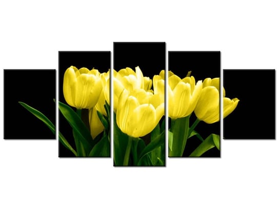 Obraz Żółte tulipany - Mark Freeth, 5 elementów, 150x70 cm Oobrazy
