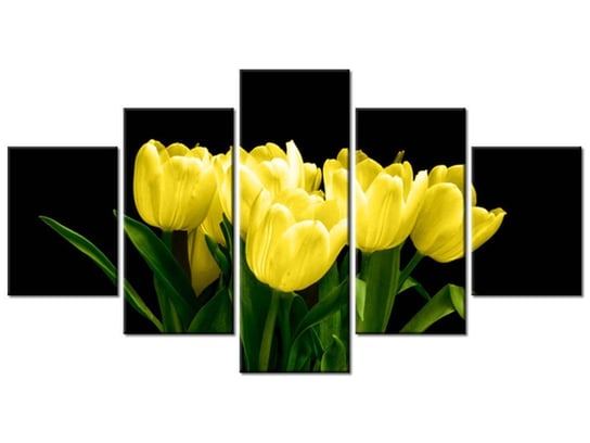 Obraz Żółte tulipany - Mark Freeth, 5 elementów, 150x80 cm Oobrazy