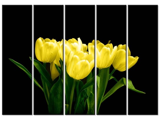 Obraz Żółte tulipany - Mark Freeth, 5 elementów, 225x160 cm Oobrazy