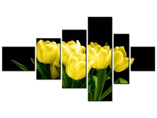 Obraz Żółte tulipany- Mark Freeth, 6 elementów, 180x100 cm Oobrazy