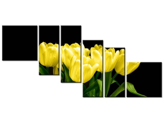 Obraz Żółte tulipany- Mark Freeth, 6 elementów, 220x100 cm Oobrazy